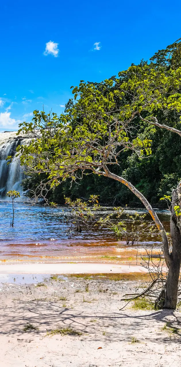 Venezuela waterfall