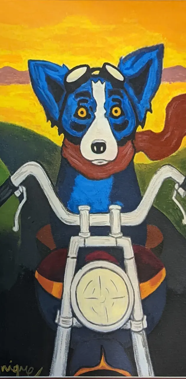 Blue Dog on bike