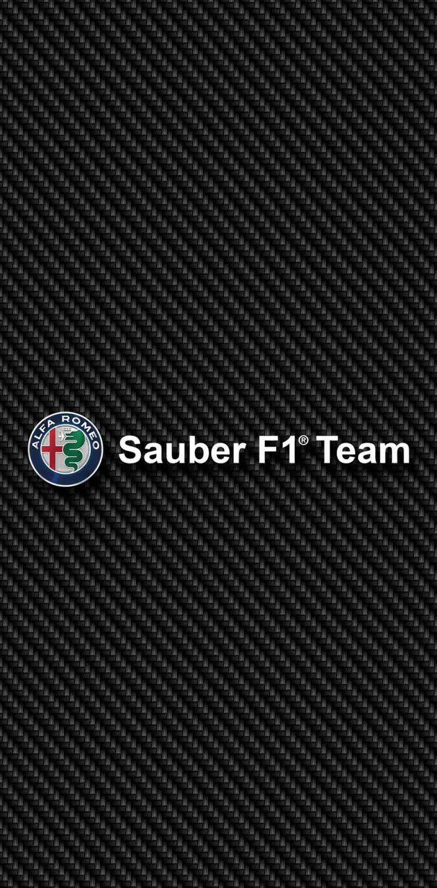F1 Sauber Carbon