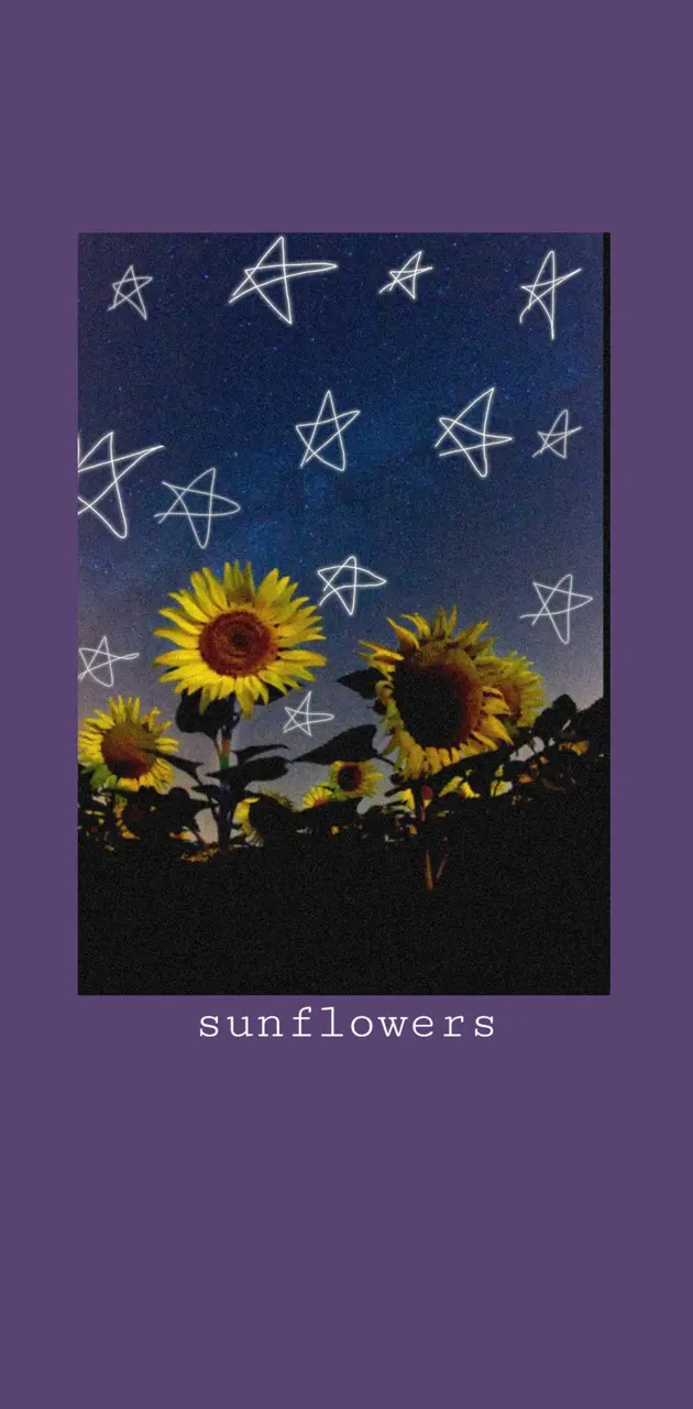 Aesthetic sunflowers