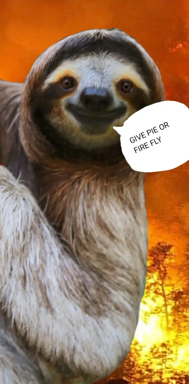 Lol sloth