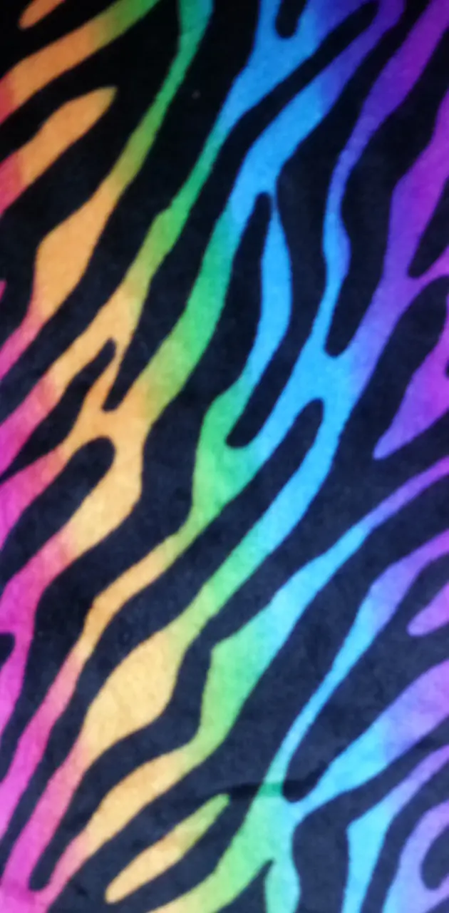 Rainbow Zebra Print 
