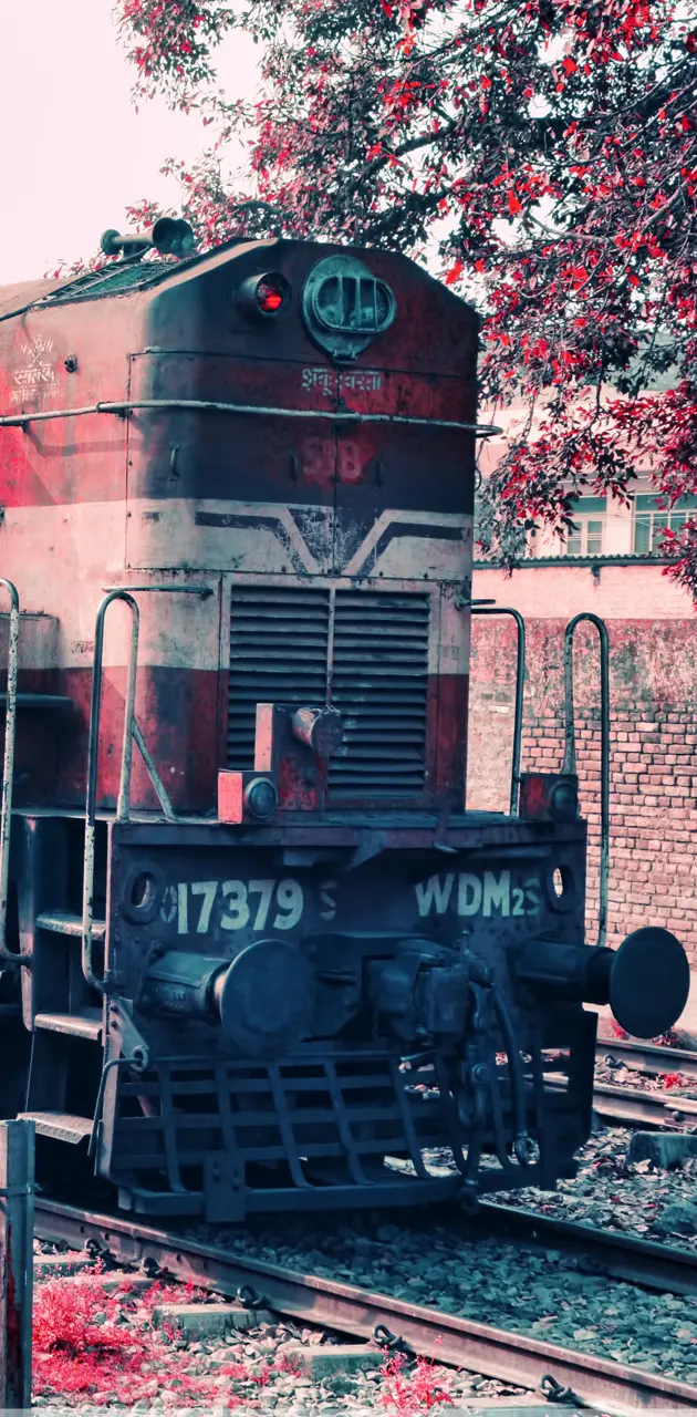 train india
