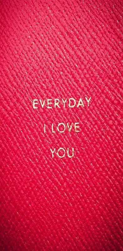 Everyday I Love You