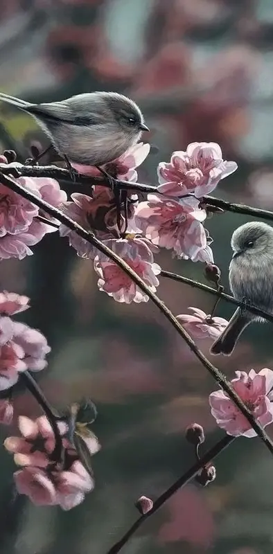 Spring Birds