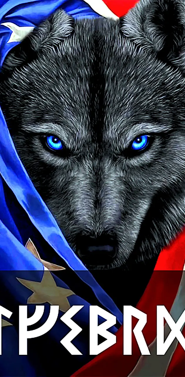 AmericanWolf,Wolfbeard