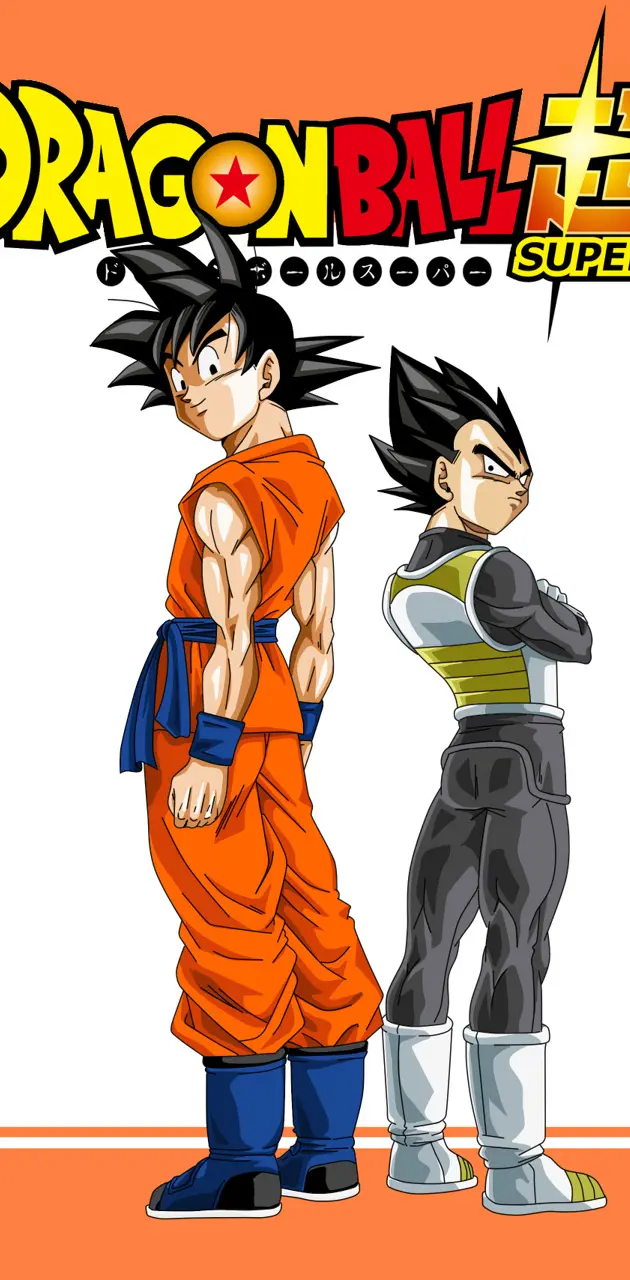Goku and Vegeta