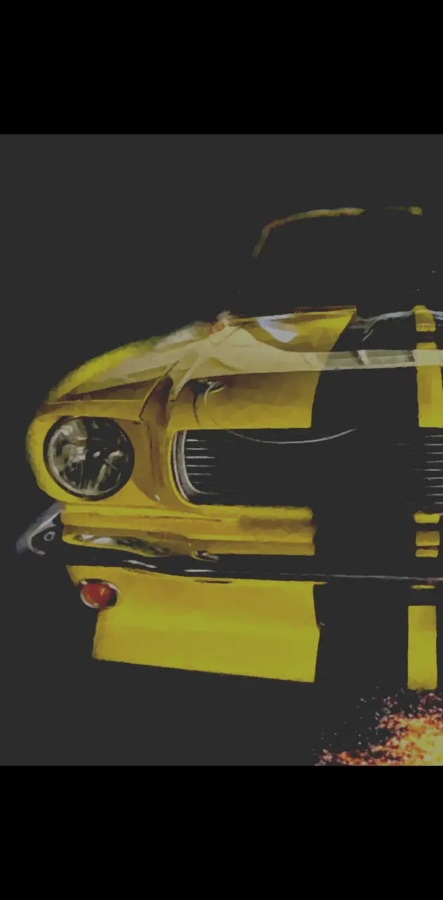 Classic Mustang 