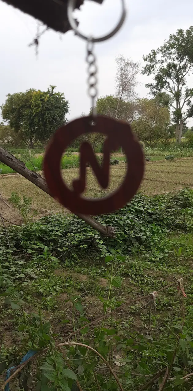 Letter N in the nature