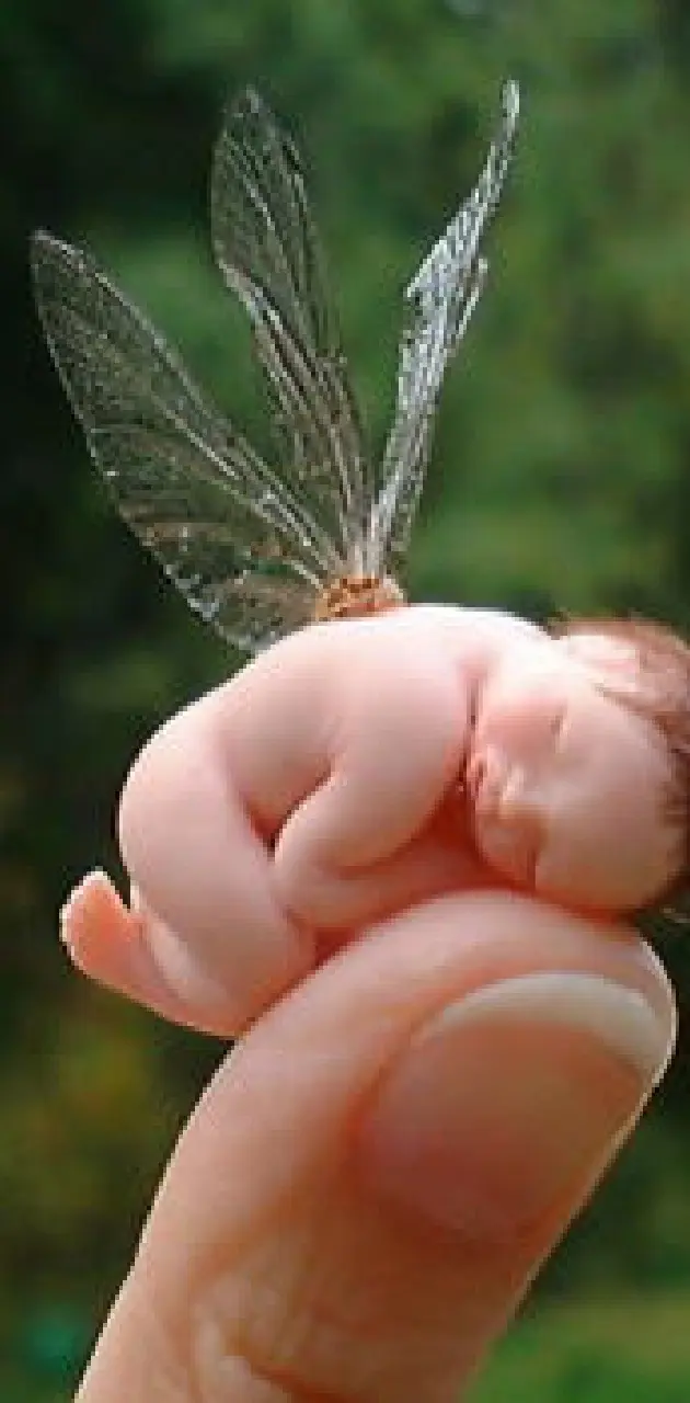 Baby Dragonfly