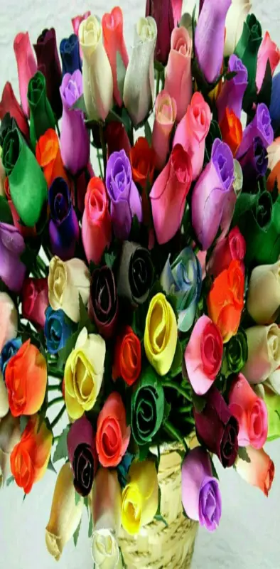 colourful Roses 4 u