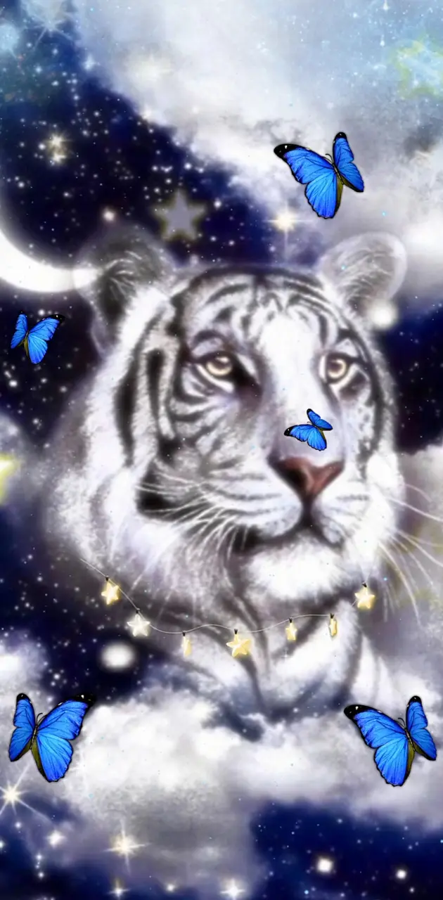 Dreamy Tiger 2