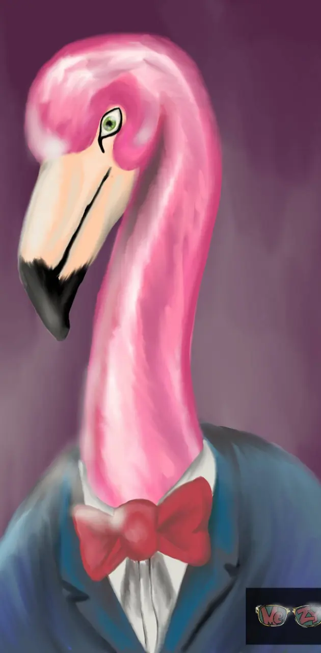 Suit-up flamingo 