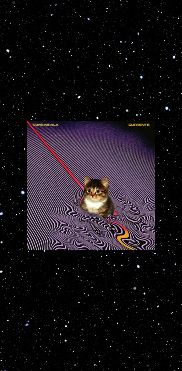 Tame Impala, Cat in currents