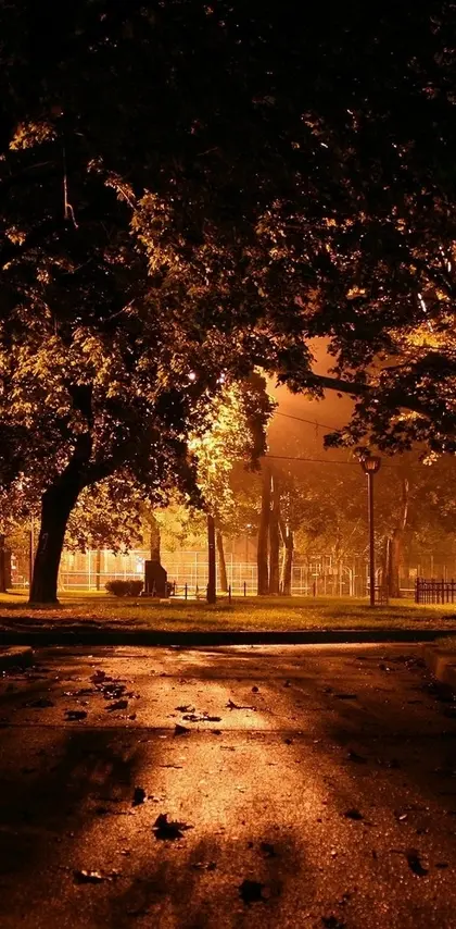 Park at night city