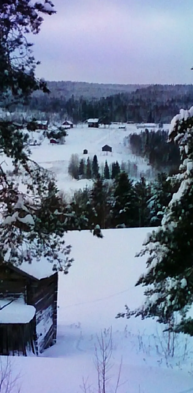 Winter Scene 18