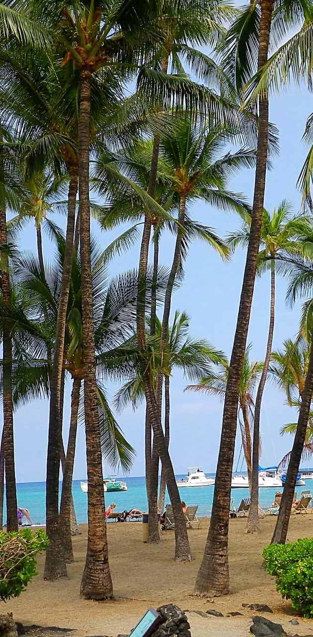Hawaiian Beach