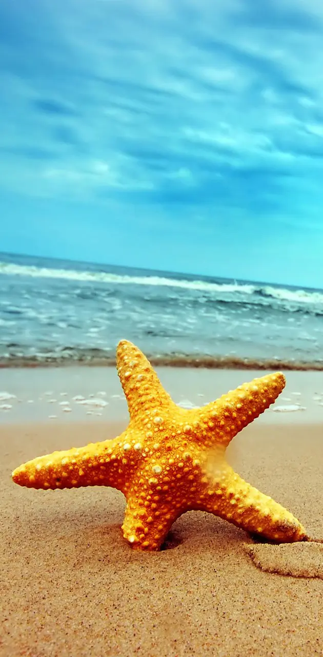 Beach-star