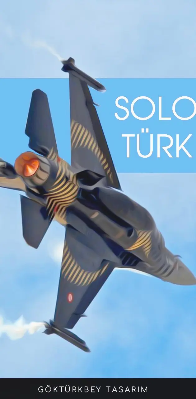 Solo Turk