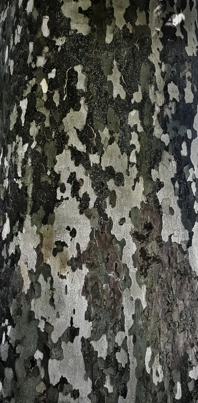 Camo Tree Bark