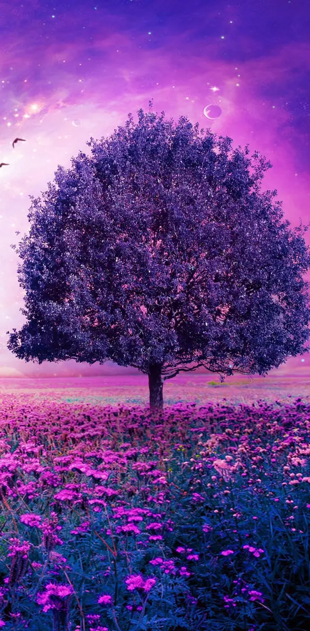 Purple Nature
