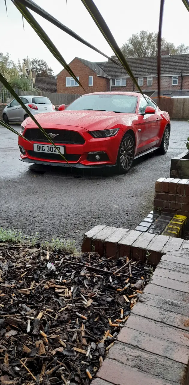 Mustang red