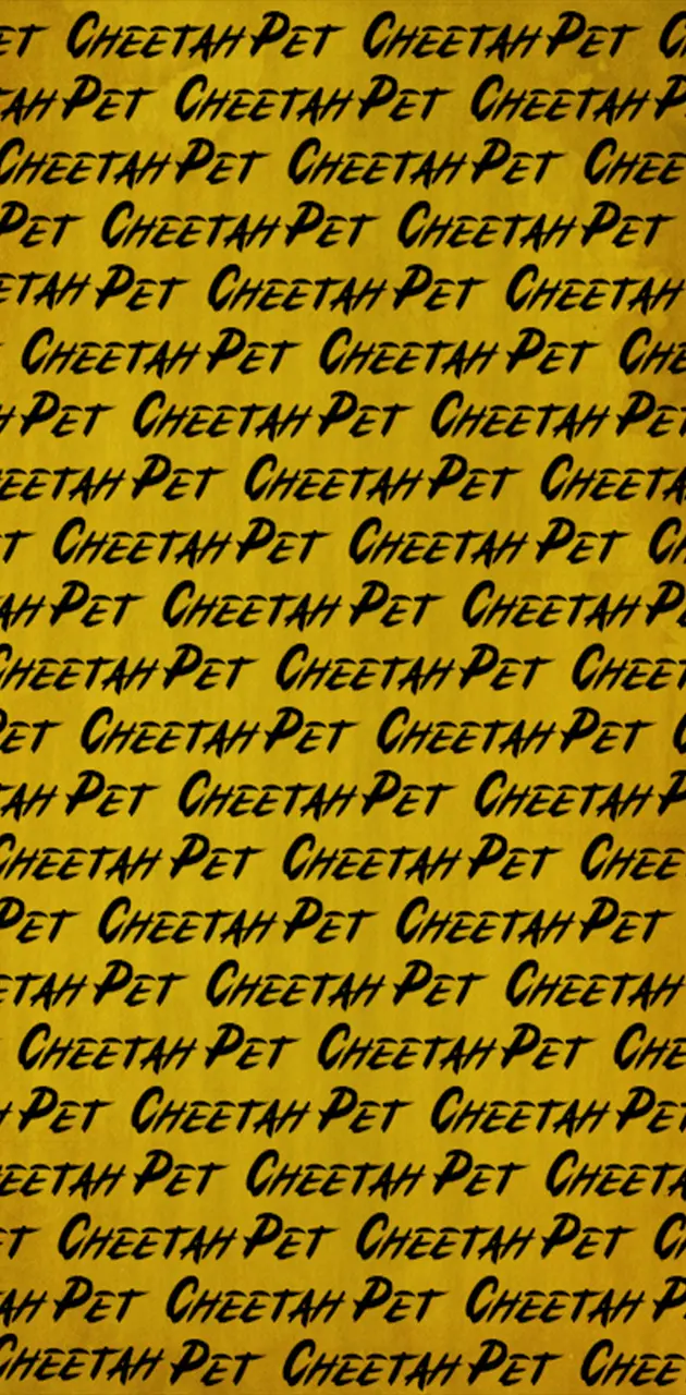 Pet Cheetah