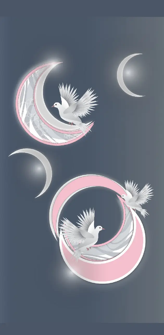 Birds cresent moon