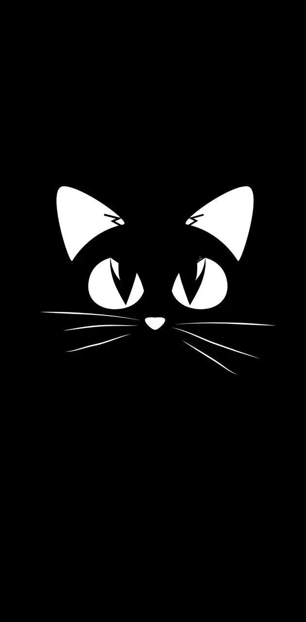 Cat in black