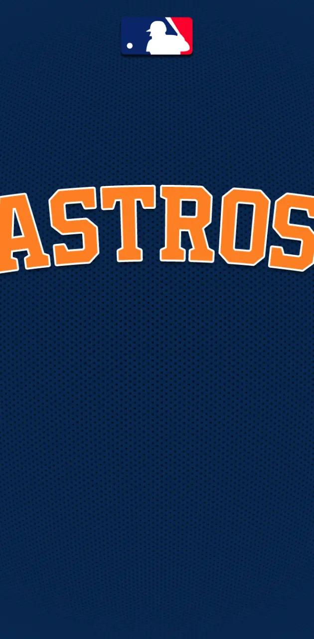 Houston Astros WS