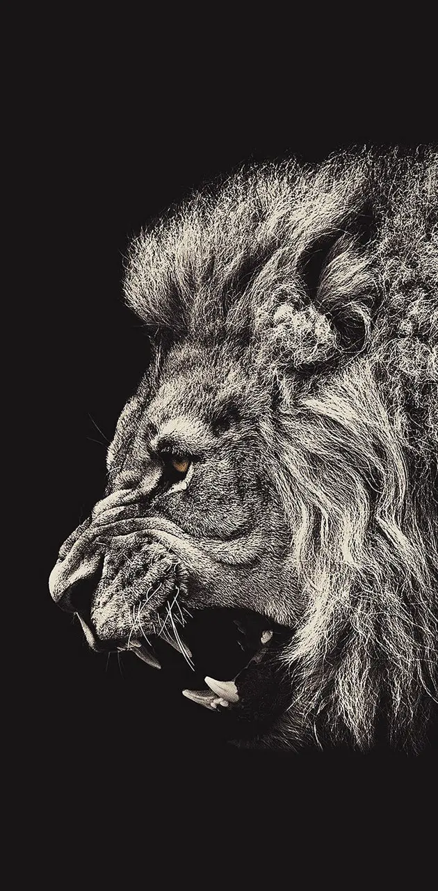 Roar Lion illust art