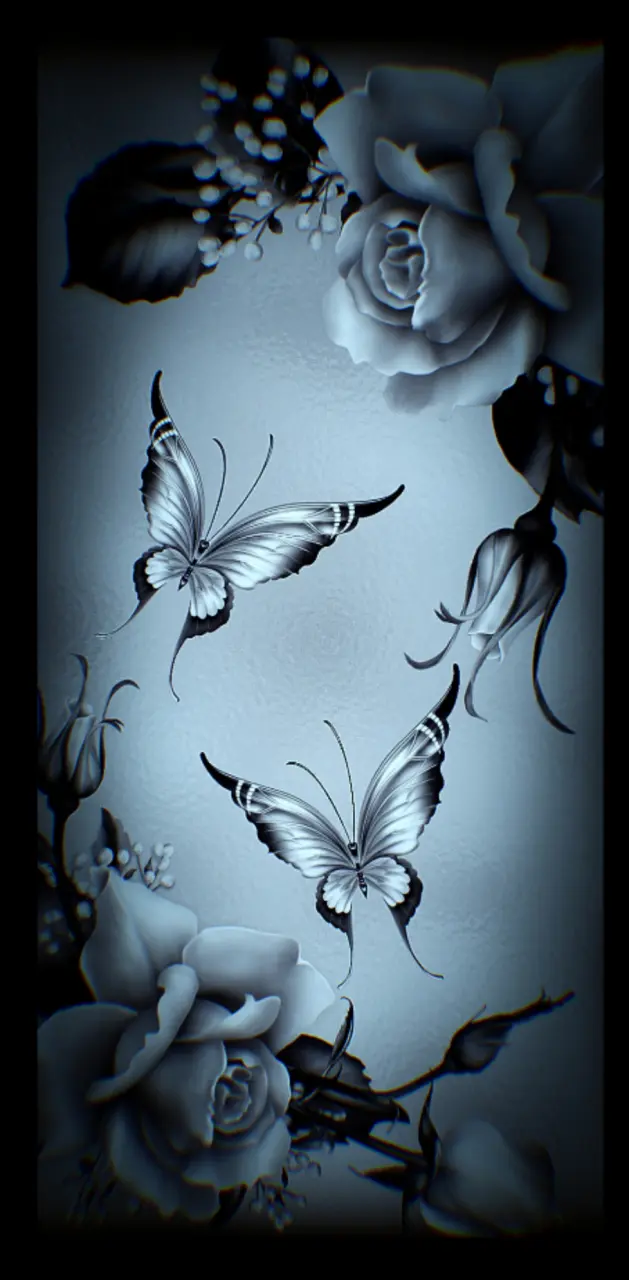 dark butterfly wallpaper