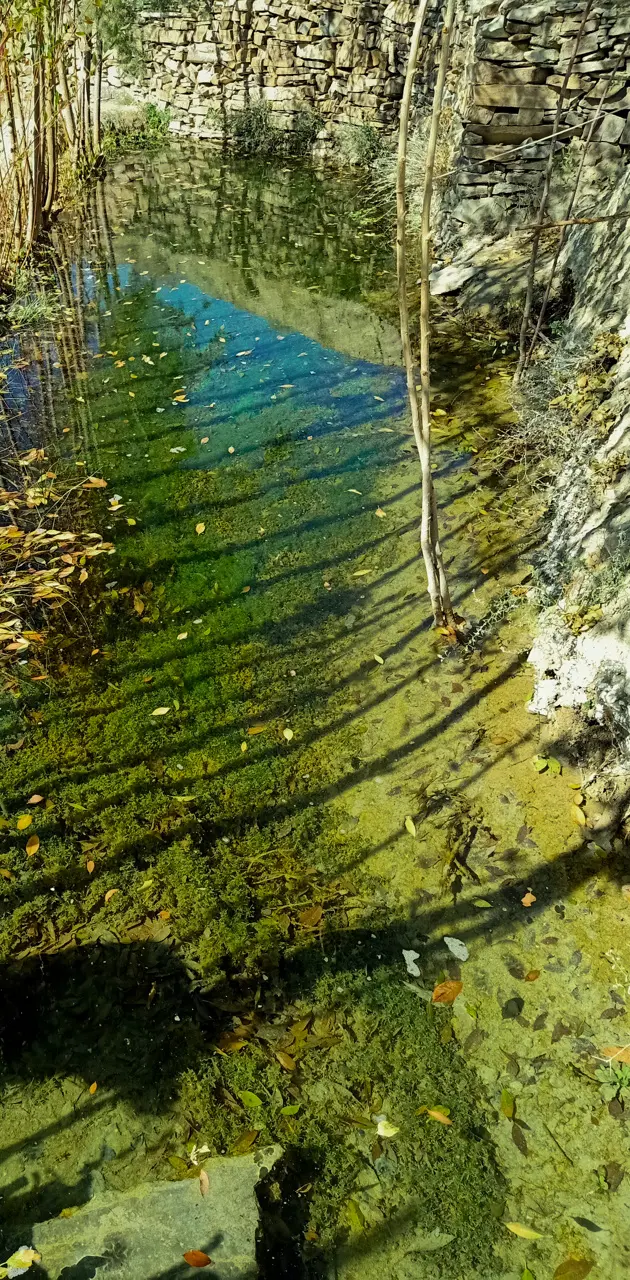 Greenly water