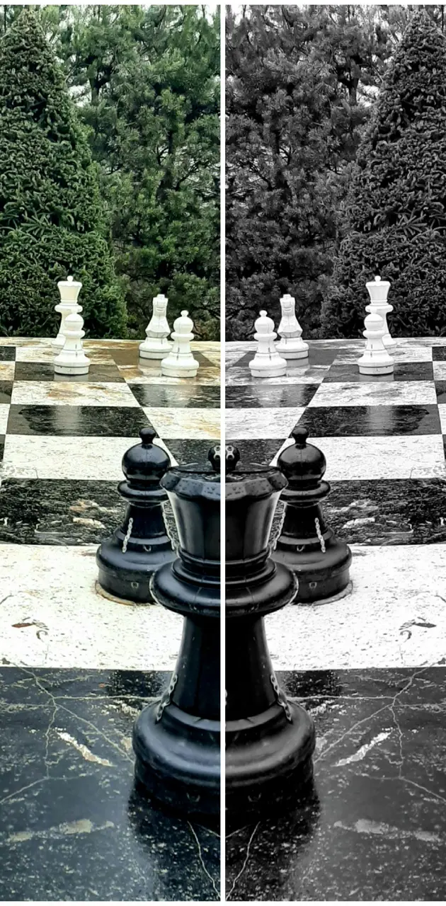 Chess sah