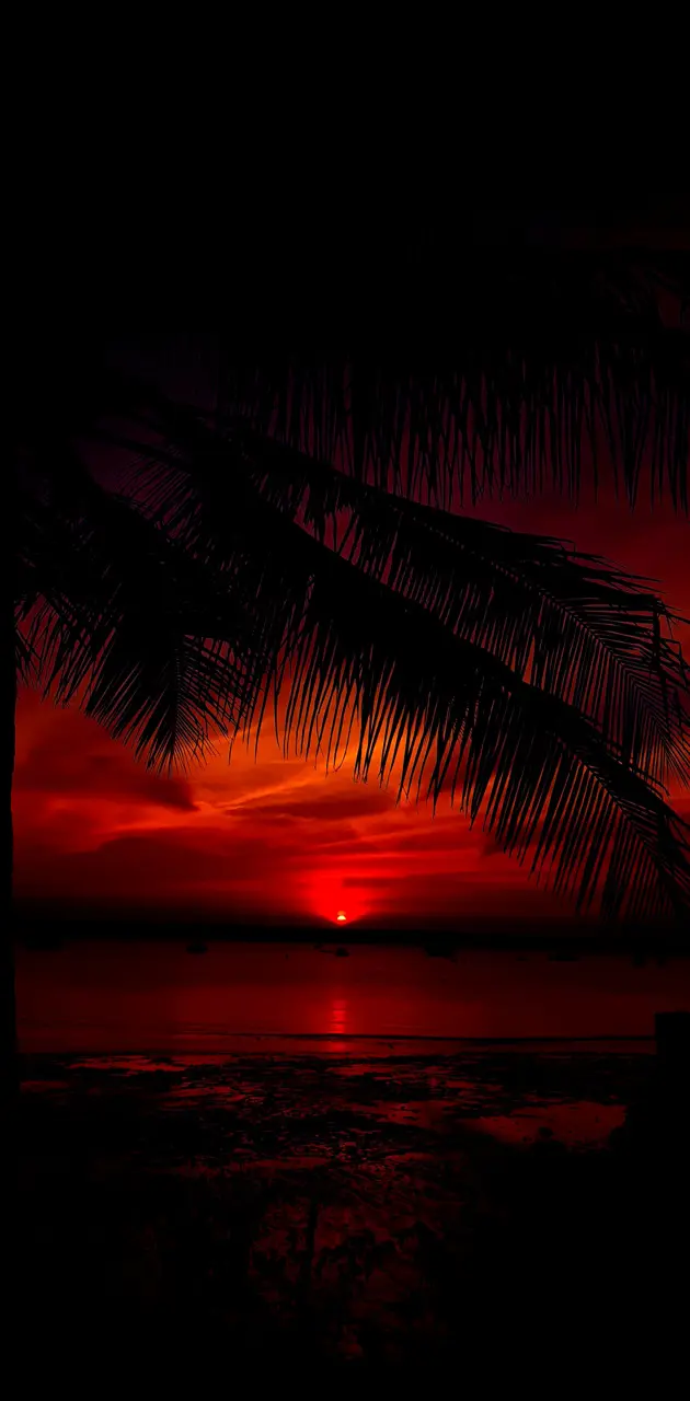 Sunset Tanzania