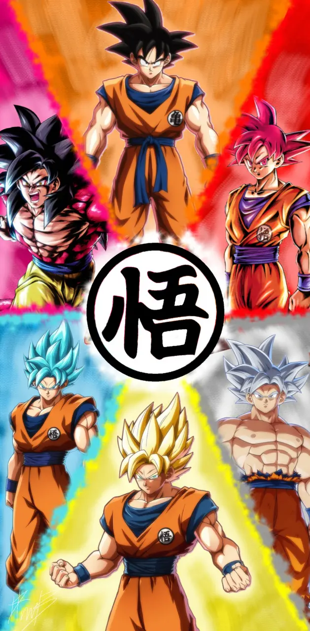 Goku forms