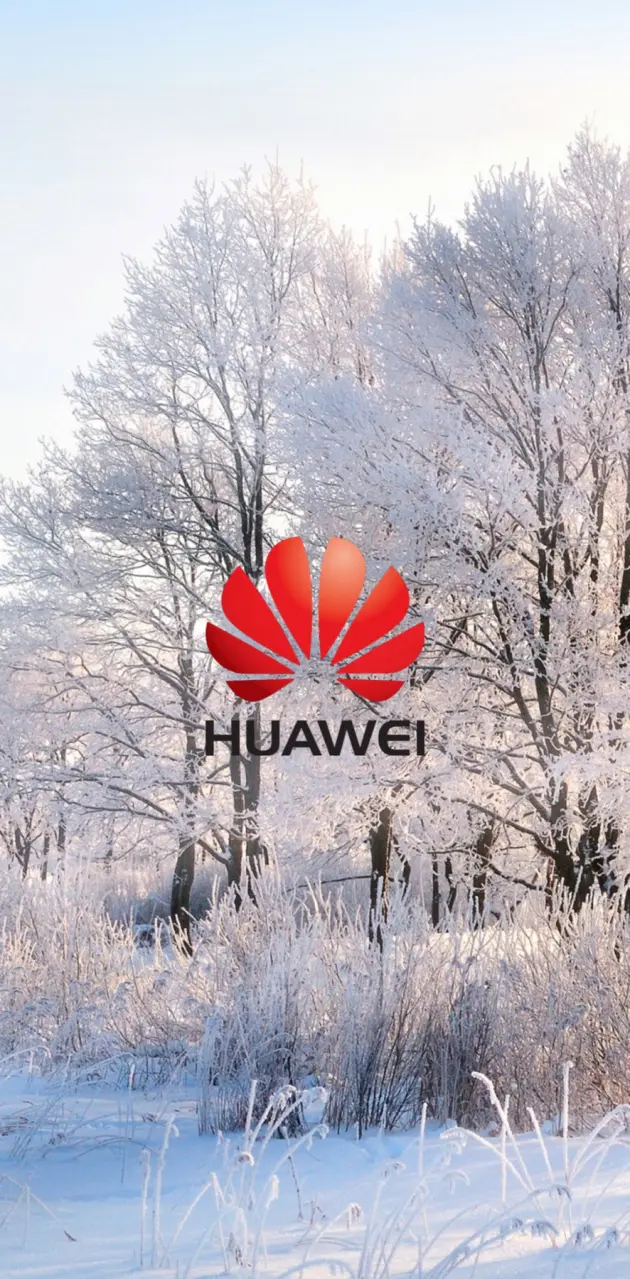 Huawei winter