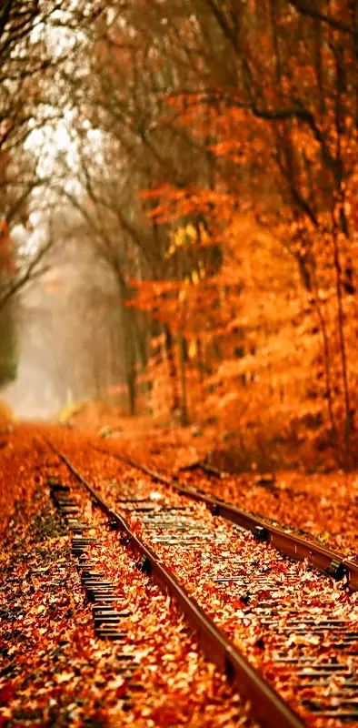 Autumn Railway
