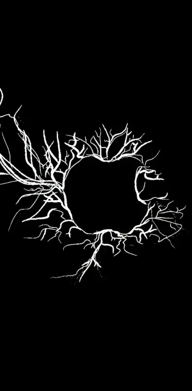Apple Black Electric