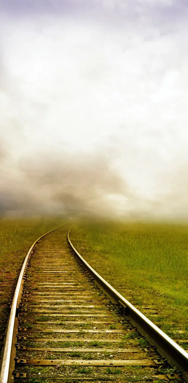Tracks In The Mist