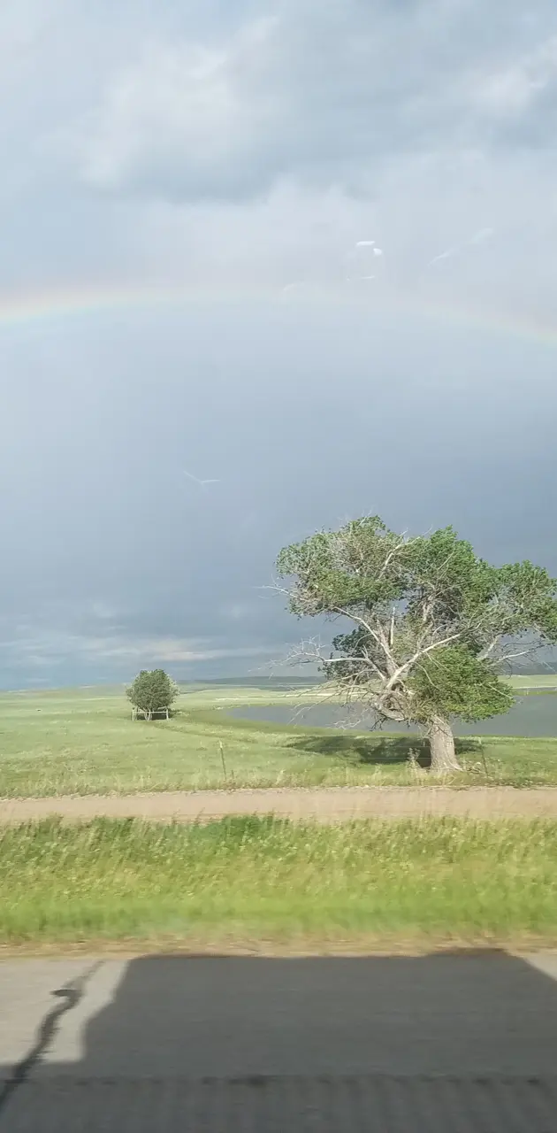 Perfect Rainbow