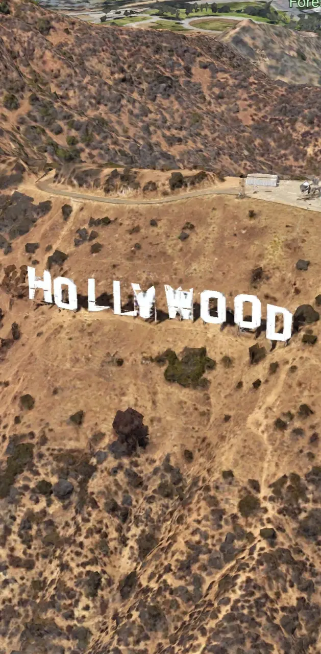 Hollywood 3D