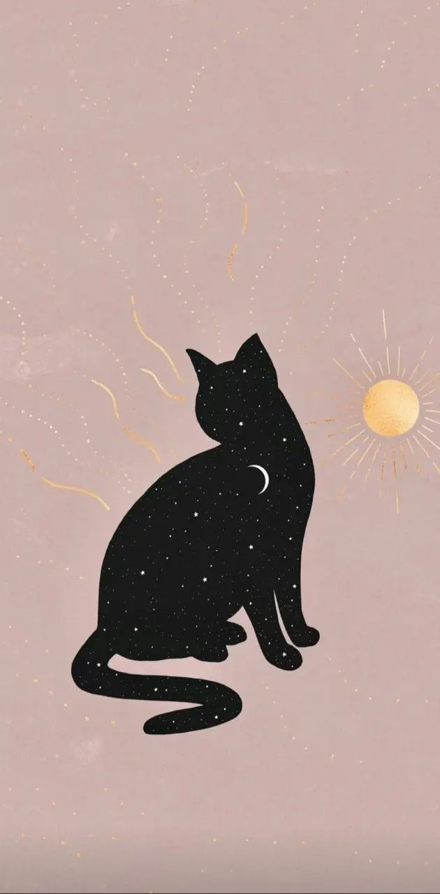 Sun cat wallpaper