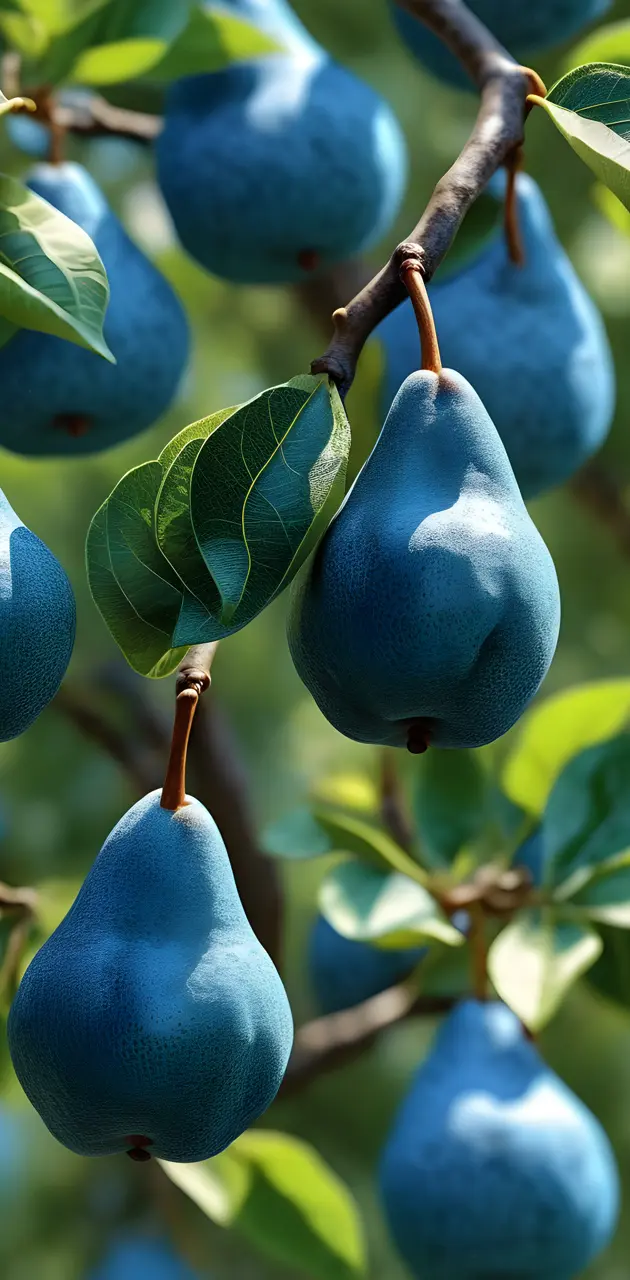 Behold My Blue Pears