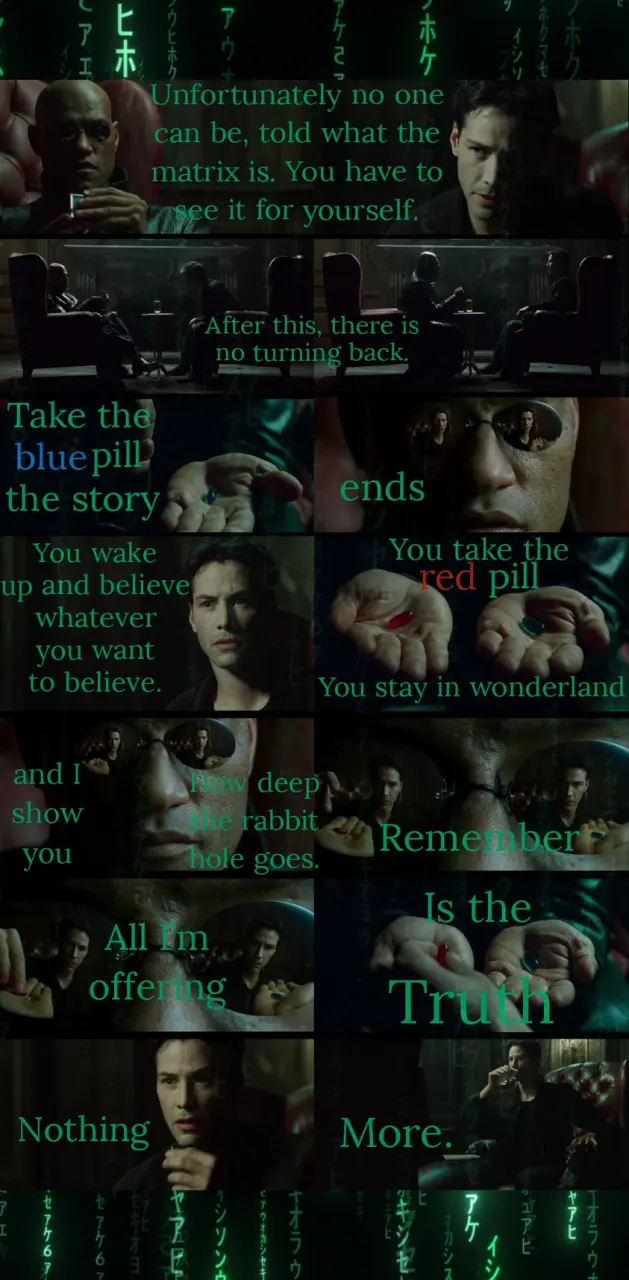 Red Blue pill Matrix