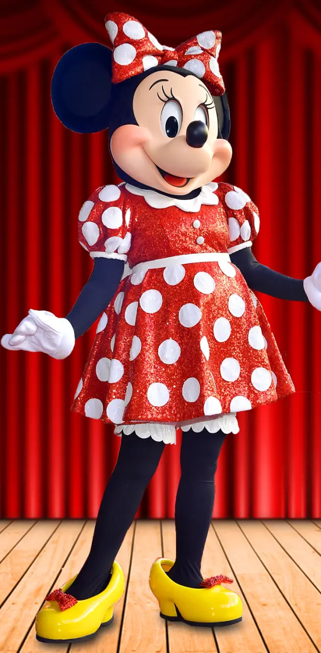 Minnie Mouse 12