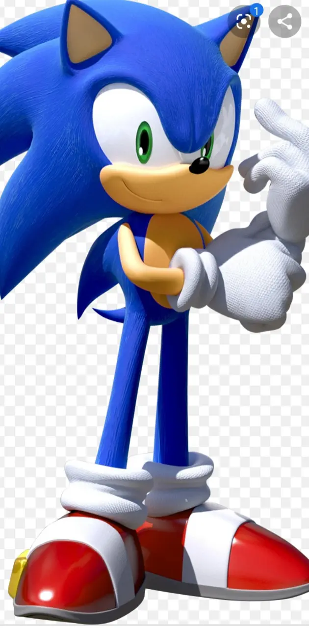 Sonic fast