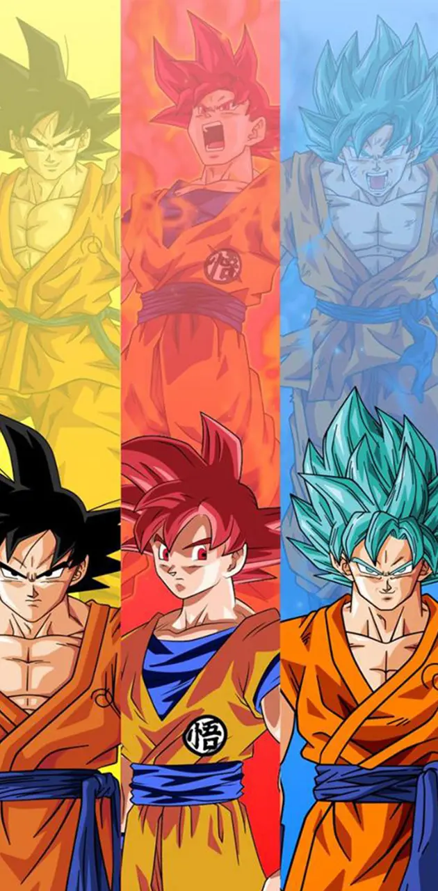 Fases de Goku 3