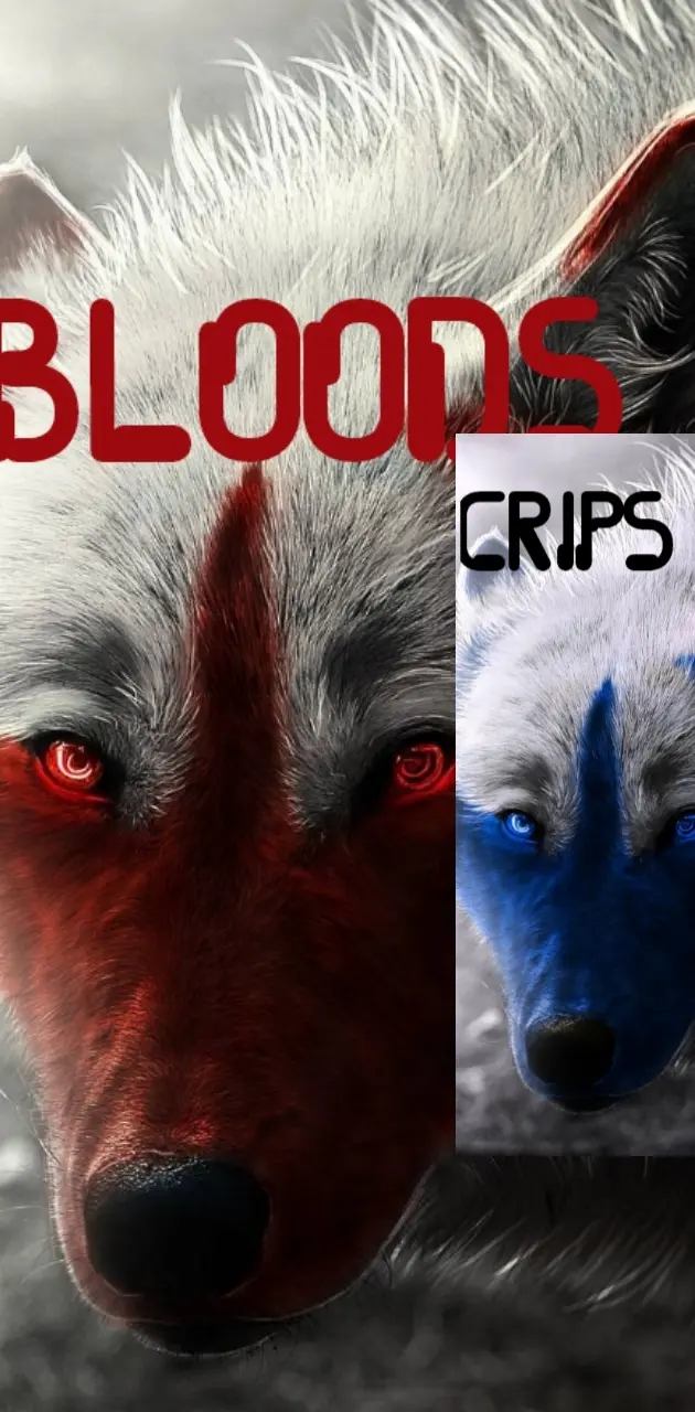 Bloods and crips