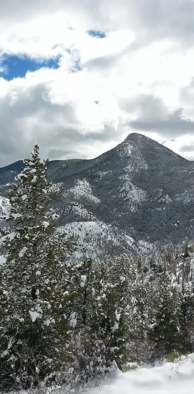 Colorado winter